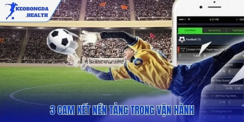 Lời cam kết về chúng tôi thể hiện qua ba nguyên tắc