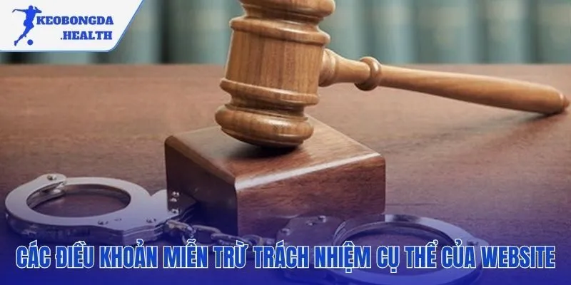 Các điều khoản miễn trừ trách nhiệm quan trọng nhất cần nắm