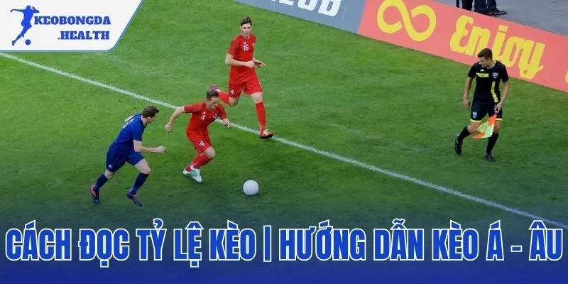 cách đọc tỷ lệ kèo