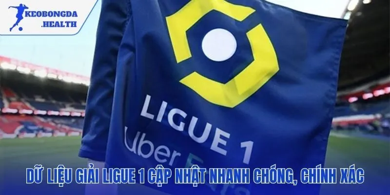 Dữ liệu toàn diện về giải vô địch quốc gia Pháp