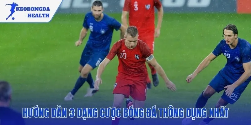 Ba loại cược nền tảng cần biết đầu tiên