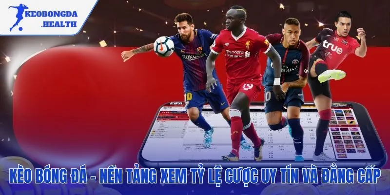 Hệ thống bảng tỷ lệ tốc độ cao cùng đội ngũ chuyên gia