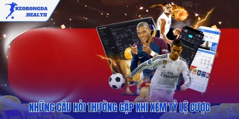 Giải đáp các thắc mắc phổ biến về cược rung và tỷ lệ dụ